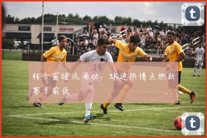 转会窗暗流涌动，球迷热情点燃新赛季前夜
