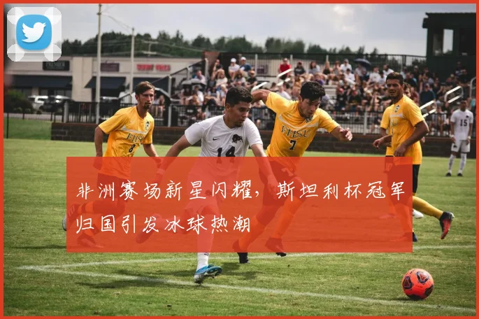 非洲赛场新星闪耀，斯坦利杯冠军归国引发冰球热潮